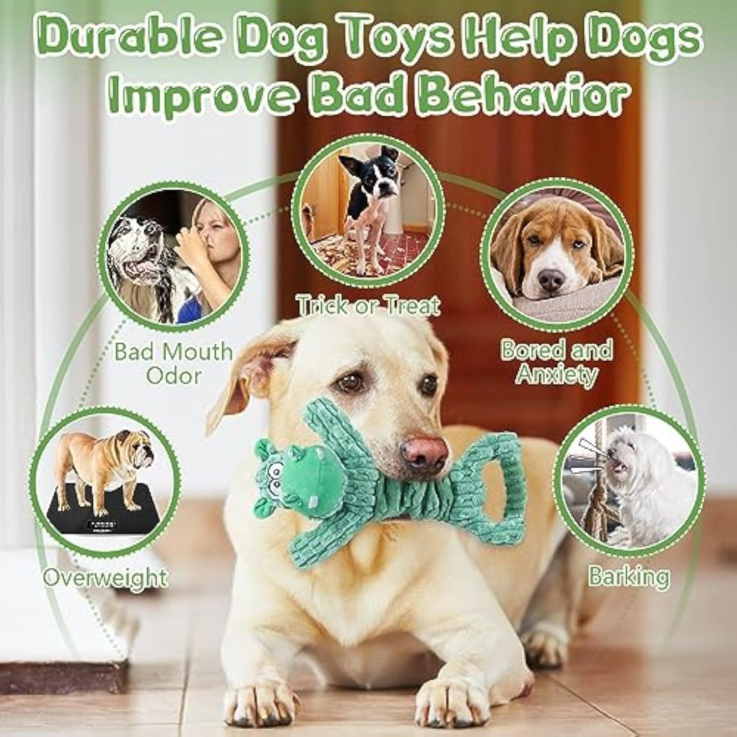 Large Plush Squeaky Dog Toys – Tug of War & Indoor Play for All Sizes