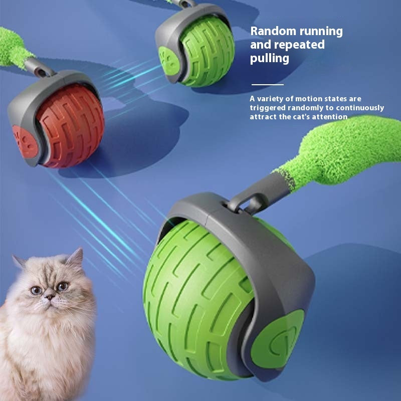 Interactive Auto-Rolling Cat Ball – USB Rechargeable Teaser Toy