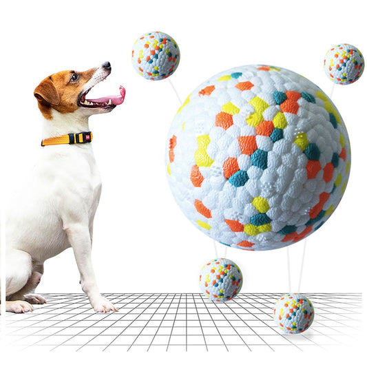 Bite-Resistant Dog Molar Ball – Chew & Clean Toy