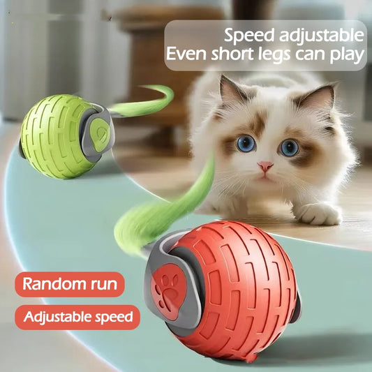 Interactive Auto-Rolling Cat Ball – USB Rechargeable Teaser Toy